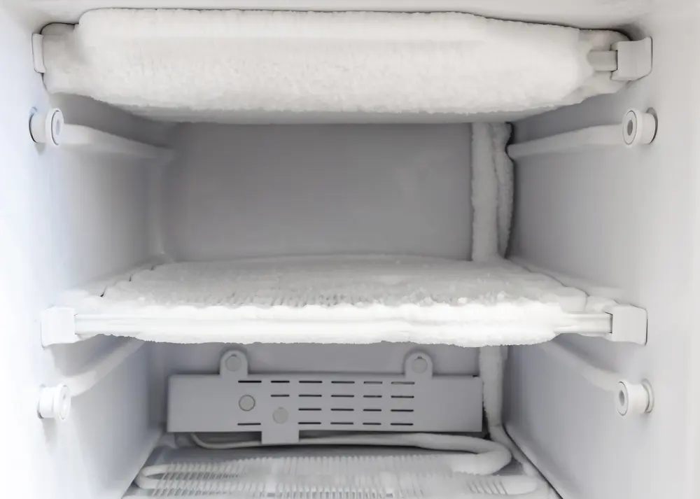6. أجزاء الثلاجة الداخلية: