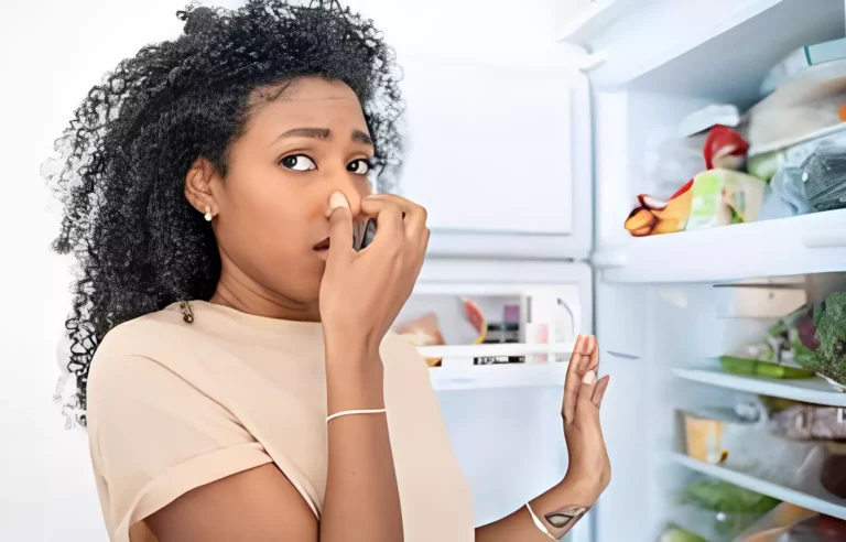 رائحة غير مستحبة داخل الثلاجة: