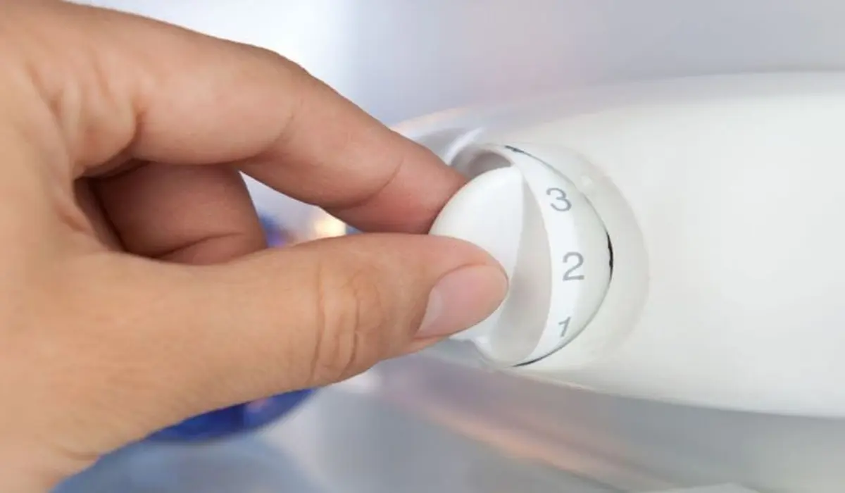 الديب فريزر مش بيفصل