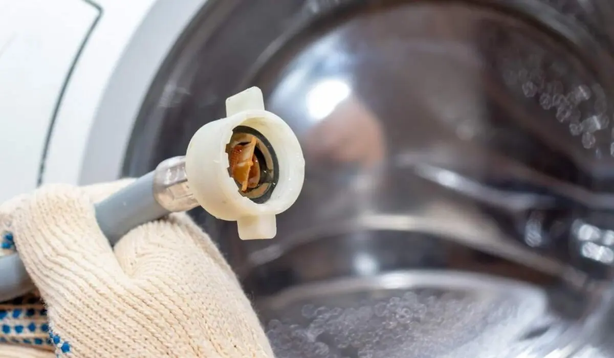 صيانة غسالات ال جي في سوريا