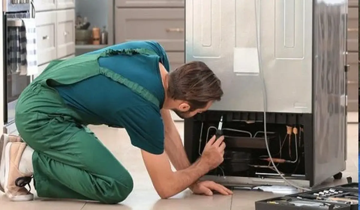 صيانة ديب فريزر هامبورج